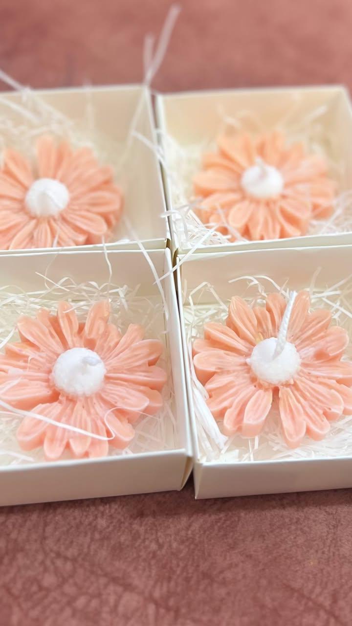 Daisy Candle with box