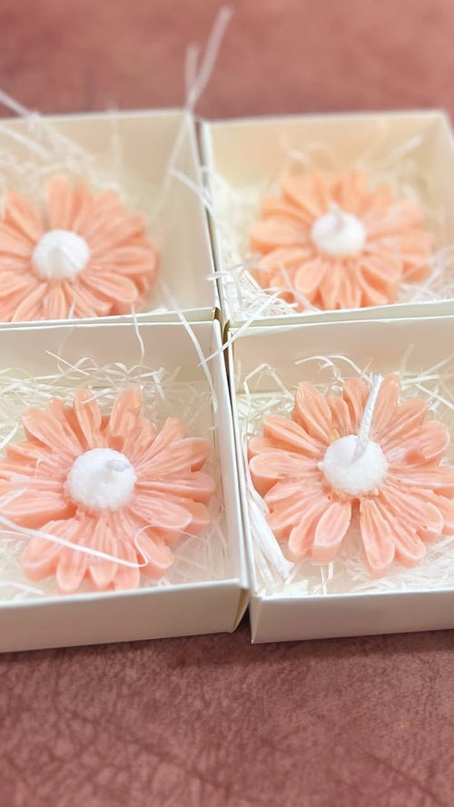 Daisy Candle with box